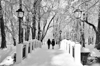 &quot;Parke dviese&quot; Albina Jasinskaitė